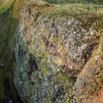 St Abbs Head